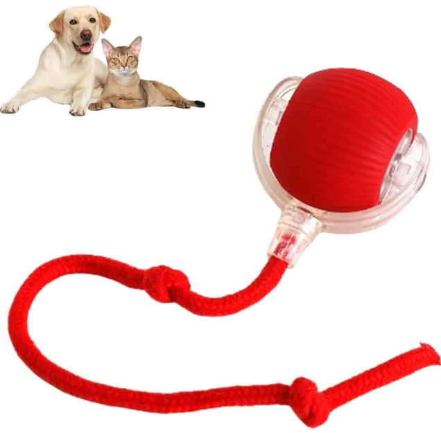 Automatic and interactive Ball Toy