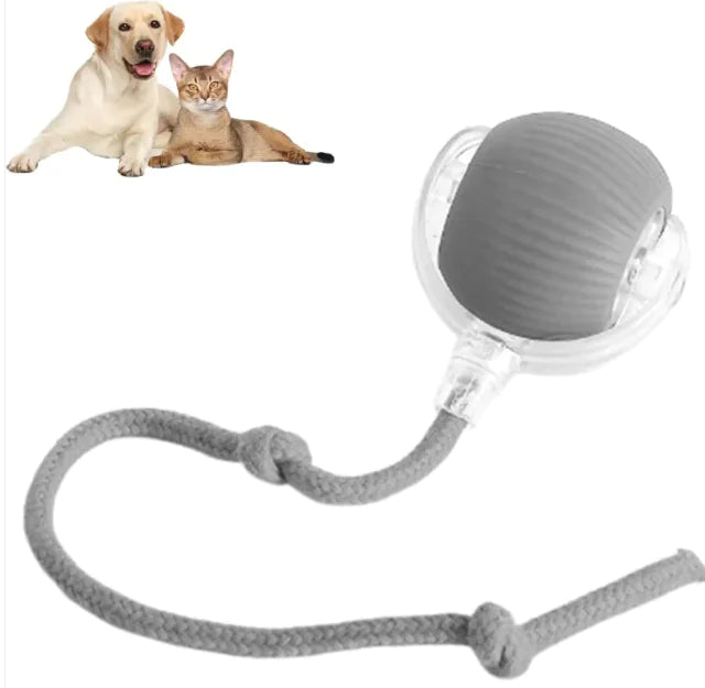 Automatic and interactive Ball Toy