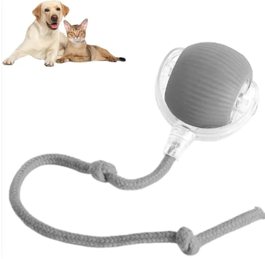 Automatic and interactive Ball Toy
