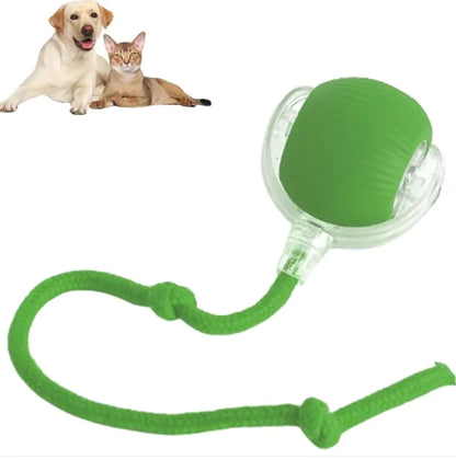 Automatic and interactive Ball Toy